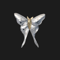 All About the Garden