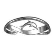 Dolphin on Crossed Bands