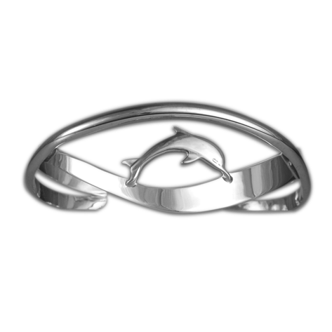 Dolphin on Crossed Bands