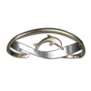 Dolphin on Crossed Bands