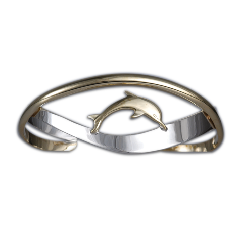 Dolphin on Crossed Bands