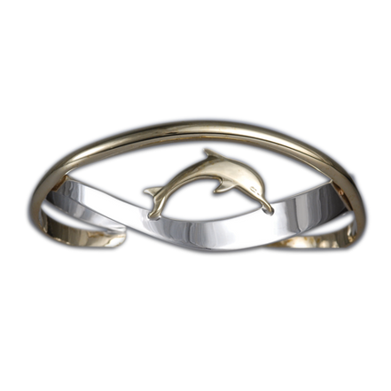 Dolphin on Crossed Bands
