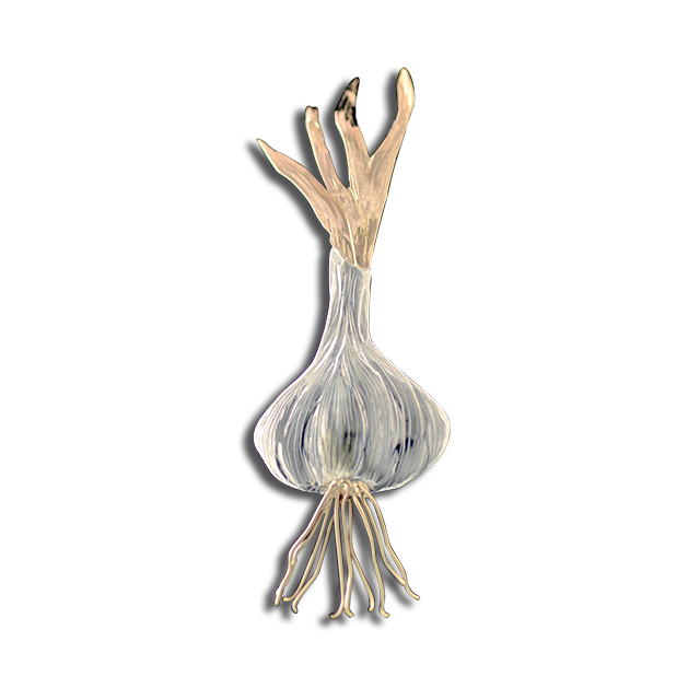 Original Pin/Pendant: Garlic SS/14K