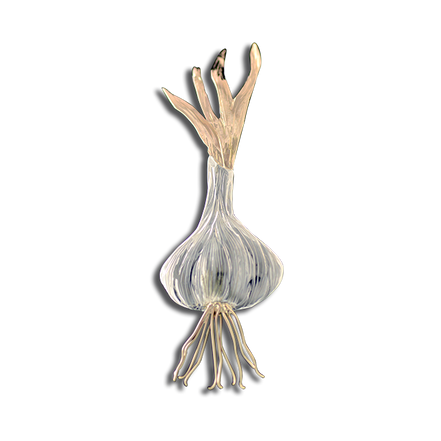 Original Pin/Pendant: Garlic SS/14K