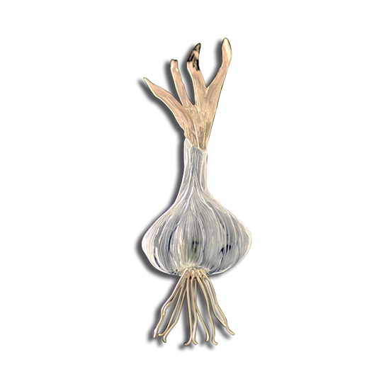 Original Pin/Pendant: Garlic SS/14K