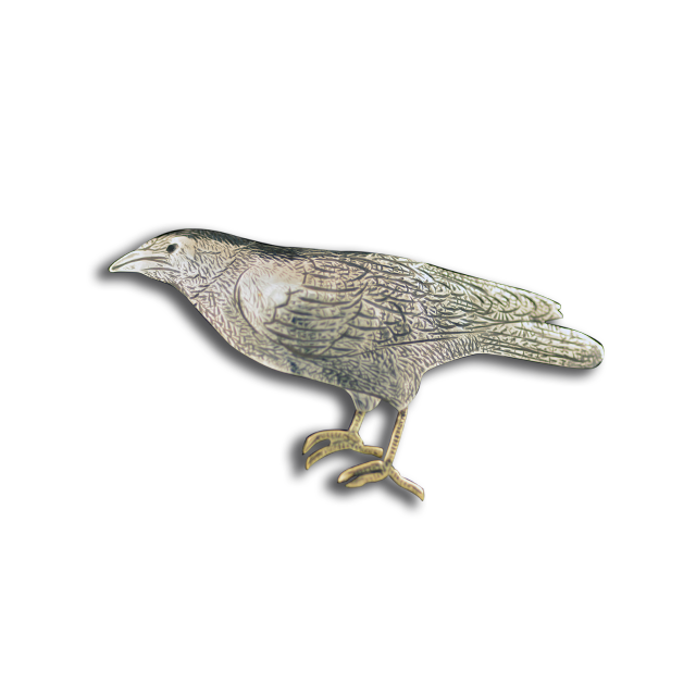 Original Pin/Pendant Raven - SS/B