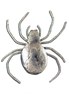 Original Pin/Pendant Large Spider - SS