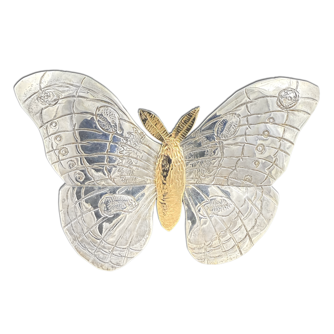 Cecropia Moth - SS/14K