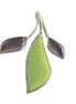 Lemon Chrysoprase and Rose Quartz Pin/Pendant: SS