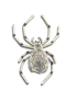 Original Pin/Pendant Spider - SS