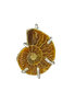 Ammonite Fossil Necklace - Sterling Silver
