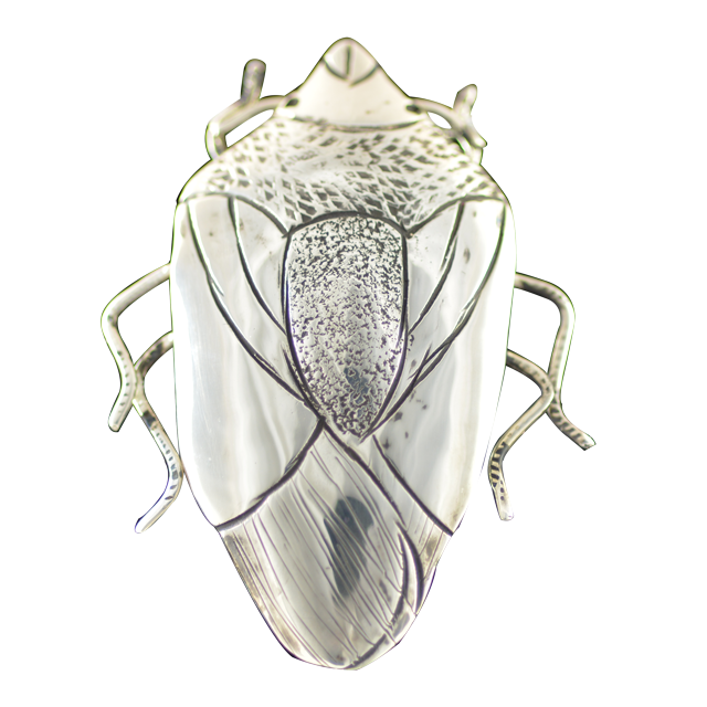 Original Pin/Pendant: Halyomorpha Halys - SS