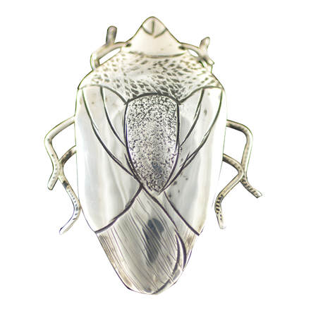 Original Pin/Pendant: Halyomorpha Halys - SS