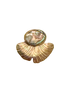 Gingko Necklace with Paua Shell Cabochon