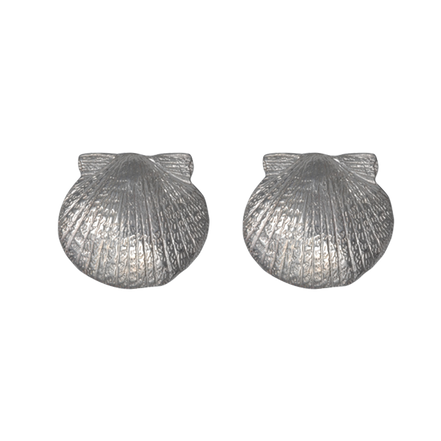 Scallop Shell Earrings
