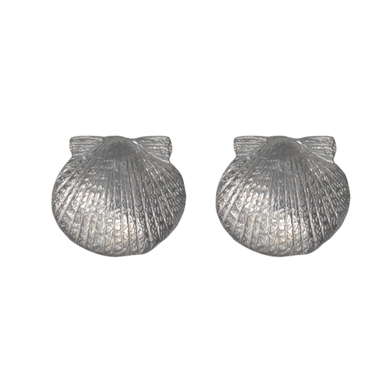 Scallop Shell Earrings