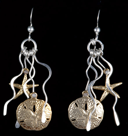 Sand dollar & Starfish in Waves