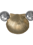 Scallop Shell, Moonshells Neckslide