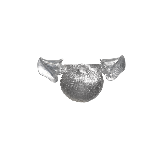 Scallop Shell, Conch Shells Neckslide