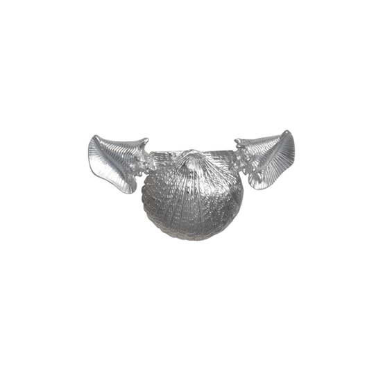Scallop Shell, Conch Shells Neckslide