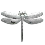 Dragonfly Pin/Pendant (largest - 4.75