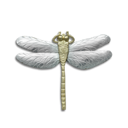 Dragonfly Pin/Pendant - Large 3