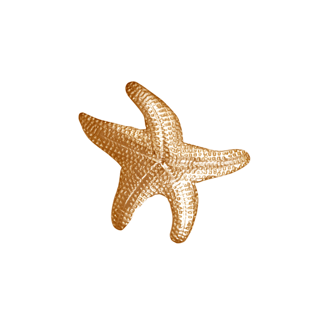 Starfish Pin/Pendant - SM