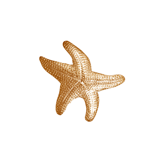Starfish Pin/Pendant - SM