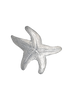 Starfish Pin/Pendant - SM