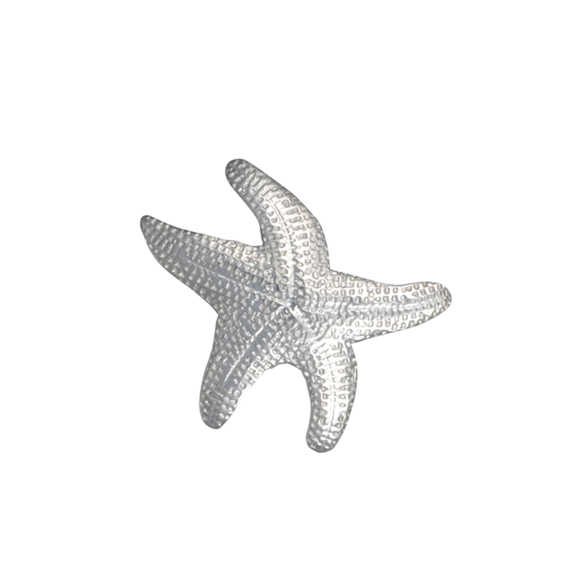 Starfish Pin/Pendant - Small