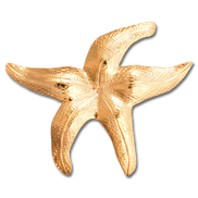 Starfish Pin/Pendant - MD