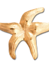 Starfish Pin/Pendant - MD