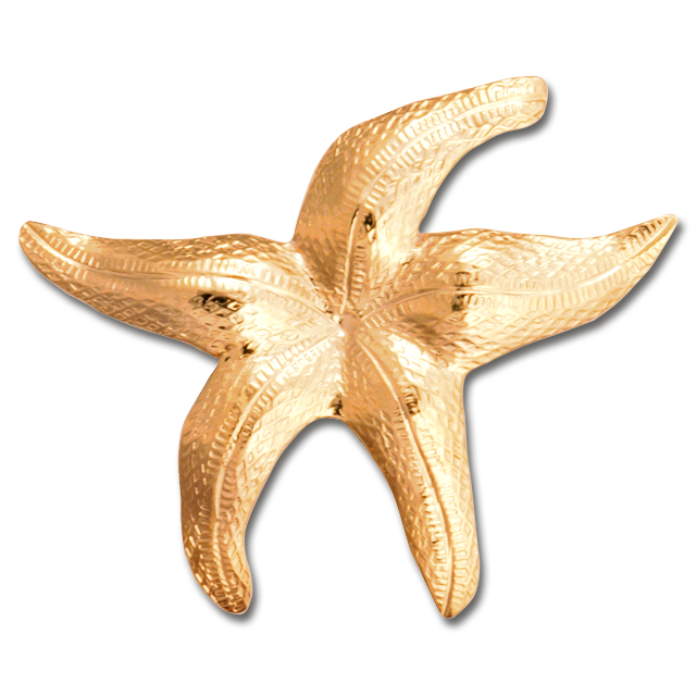 Starfish Pin/Pendant - MD