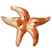 Starfish Pin/Pendant - MD