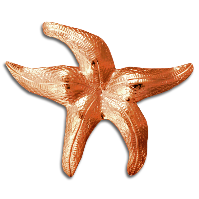 Starfish Pin/Pendant - MD