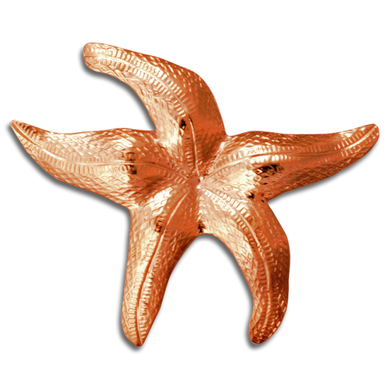 Starfish Pin/Pendant - MD