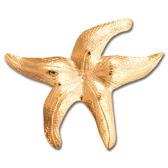 Starfish Pin/Pendant - MD