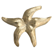 Starfish Pin/Pendant - MD