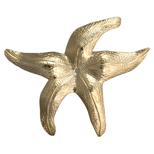 Starfish Pin/Pendant - MD