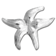 Starfish Pin/Pendant - MD