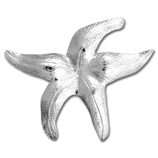 Starfish Pin/Pendant - MD