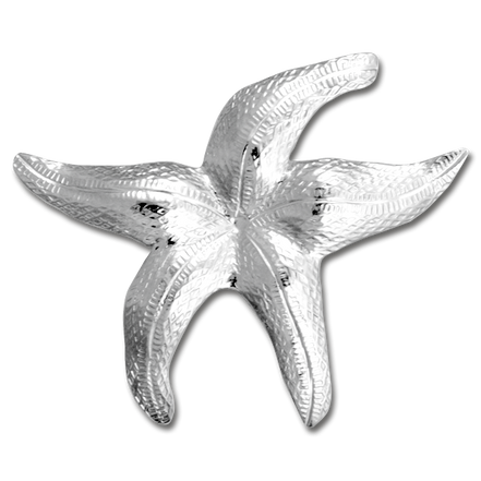 Starfish Pin/Pendant - MD