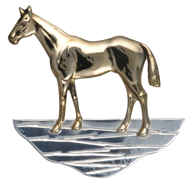 Horse on Ground Pin/Pendant - LG