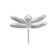 Dragonfly Pin/Pendant - Med. 2.25