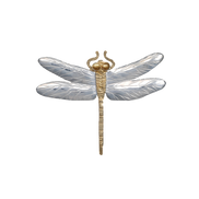 Dragonfly Pin/Pendant - Med. 2.25