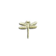 Dragonfly Pin - 1