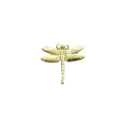 Dragonfly Pin - 1