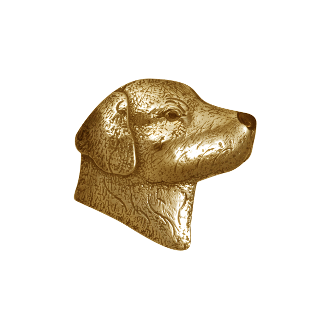 Lab Head Pin/Pendant