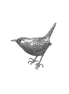 Carolina Wren (Pin only)