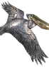 Pelican Flying Pin/Pendant